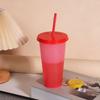 Color Changing Plastic Tumbler with Straw 24oz Reusable Cold Water Cup Leak-Proof Stackable Drinkware for Indoor Outdoor Use