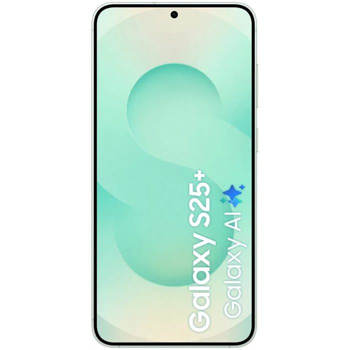 Samsung Galaxy S25+ 5G 12 Go/256 Go Vert (Mint) Double SIM SM-S936B