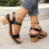 Braided Chunky Heeled Sandals for Women 2025 Summer Ankle Strap Platform Sandles Woman Casual Weaving Gladiator Sandalias Mujer