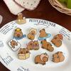 Kapibara Acrylic Capybara Pin Breastpin Animal Badge Cartoon Capibara Pin  Girl