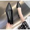 Pointed Flat-soled Single Shoes Professional Women's Shoes Work Shoes Women's 2025 Spring and Summer New Soft-soled Soft-soled Comfortable Single