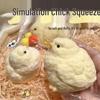 Chubby Chick Squishy Toy: Stress Relief for Kids, Soft & Pinchable