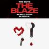 THE BLAZE World Tour In SEOUL Carabiner