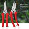 Stainless Steel Pruning Shears for Thick Branches & Fruit Trees - Garden & Floral Art Tools