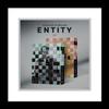 Astro Cha Eunwoo Entity 1st Mini Album 2 Version SET CD+1p Folding Poster On Pack+PhotoBook+3p PhotoCard+1ea Sticker+1ea DIY Entity+1p Accordion Lyric