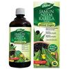 Dabur Jamun Neem Karela Juice - 1L | Helps Control Blood Sugar Level & Reduces Bad Cholesterol | Good for Metabolic  | Ayurvedic Health Juice