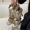 Fashion Golden Sexy High Heels Women Sandals 2024 Summer New Fashion Hollow Open Toe Thick Heel Sandales Back Zip Casual Roman Shoes