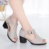 Fashion Shoes Female 2024 Fish Mouth Shoes Women's Sandals Fashion Buckle Strap Daily Sandals Women Hot Sale Square Heel Heeled Sandals