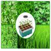 5pcs Seedling Tray with Led Grow Lights Plant Seed Starter Tray Kit Greenhouse Growing Trays with Light Useful Garden Tool