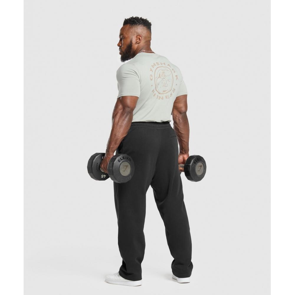 Gymshark Футболка Legacy Stone Grey A5a3b Gb7s