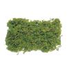 Daichi Farm Natural Materials Mountain Moss Sachet Green (50g) DO61170-700