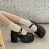 Sweet and Cool Thick Heel High Heel Small Leather Shoes Women's 2025 Spring and Summer New Thick Sole Heightening French Retro Mary Jane Single Shoes