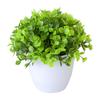 Beautiful Simulation Bonsai Easy Care No Withering Portable Fake Grass Plants Pot Ornament