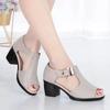 Fashion Shoes Female 2024 Fish Mouth Shoes Women's Sandals Fashion Buckle Strap Daily Sandals Women Hot Sale Square Heel Heeled Sandals
