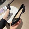 Fashion Pointed Thick Heels Mary Jane Shoes for Women's 2025 Summer New Shallow Heel Women's Single Shoes High Heel Female Single Shoes