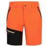 Icepeak Shorts Batavia I