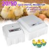 Digital Incubation Box Egg Incubator Automatic Suitable for Hatching Snake Lizards Reptiles Reptile Egg Box Reptile Breeding Box
