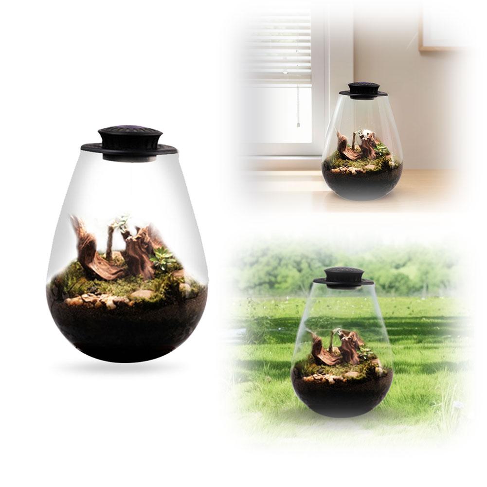 Fern Moss Micro-Landscape Grow Light 6500K Plant Grow Light LED Full Spectrum Growing Lamp for Miniature Gardening Landscape