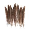 80 Natural Pheasant Feather Decorative Diy Jewelry Hair Accessories Material Cat Stick Toy Accessories