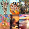 5D DIY Diamond Painting Animals and Landscapes Diamond Embroidery Cross Stitch Set Full Rhinestone Mosaic Home Decoration