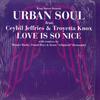 12inch Record URBAN SOUL - Love Is So Nice KSS1073 KING STREET SOU 1998 US Dance & Electronica Used