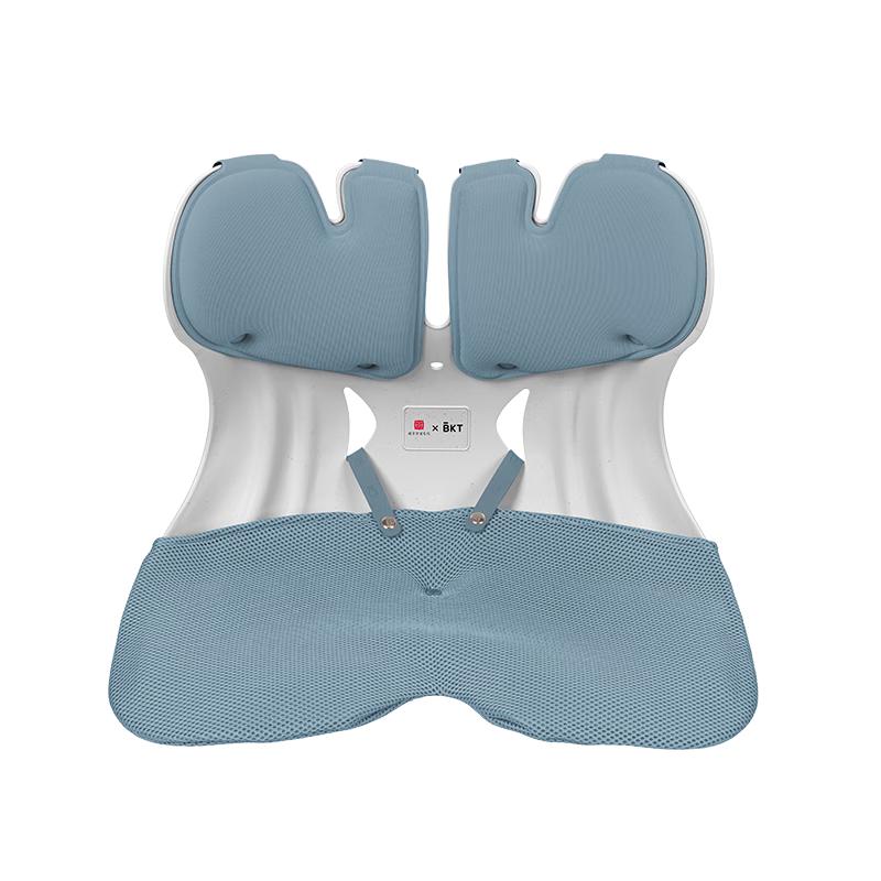 BKT Ergonomic Lumbar Support Cushion