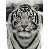 Diy Diamond Painting Tiger Cross Stitch Diamond Embroidery Animal Diamond Painting
