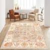 Fringed-Woven Cotton Base Digital Printed Carpet RVG8095