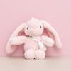 Eared Long Cute Bunny Plush Toy Adorable Cartoon Keychain Charm Perfect Gift