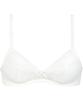 Junior For Curvy Girls WingTeen RB6136 IV A70 Wing/Wacoal Bra, Wireless, [STEP 3]