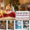 Panda Christmas 24pcs Blind Box Advent Calendar Acrylic Pendant Keychain Gift