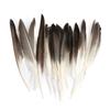 80 Natural Pheasant Feather Decorative Diy Jewelry Hair Accessories Material Cat Stick Toy Accessories