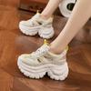Thick-soled Dad Shoes Women's Summer New Hollowed-out Hole Shoes Breathable Mesh Sandals Versatile Inner Height-increasing Women's Shoes