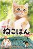 DVD DVD - Nekoban Movie  TSDS75197 Japan Movies & DVD Used