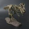 Jurassic Period Assembled Skeleton Park Animal Figurines Dinosaur Model DIY  Kids Toy