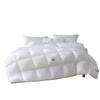 BBLISS Class A 95% White Goose Down Duvet