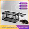 Metal Mouse Trap Cage - Rodent Control Live Catcher for Home Use