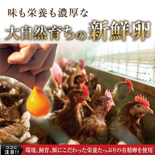 Yazuya Group Kyushu Nature Center Matured Black Garlic Egg Yolk 185 Capsules (One Capsule Per Day for Six Months) Family Size