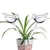 High Quality Automatic Flower Watering Device Plant Waterer Self Watering Globes Bird Shape Hand Blown ClearPlastic Aqua Bulbs