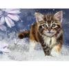 Diamond Embroidery Full Display Animal Diamond Painting Cat Picture