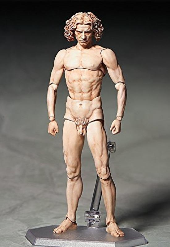 Figma Table Museum Vitruvian Human Figure Painted Movable Figure Non-scale ABS&PVC