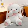 Goodnight Adorable Plush Bear And Sweetheart Rabbit Soft Toy Gift For Cuddling