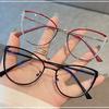Fashion Glasses Frame Metal Anti Blue Light Glasses Non-Polarized Fashion Accessory