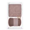 Shading Powder 04 Ice Gray Brown 5g - Contour Makeup for Natural Definition