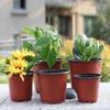 50/20pcs Plastic Flowerpots Nursery Seed Starting Transplant Flower Pot Gardening Plant Container Box Fall Resistant Lightweight