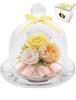Lilys Epice Preserved Flowers 2025 Gift Flower Gift Rose Present Gp1ye [liLYS Épice] (Honey Yellow)