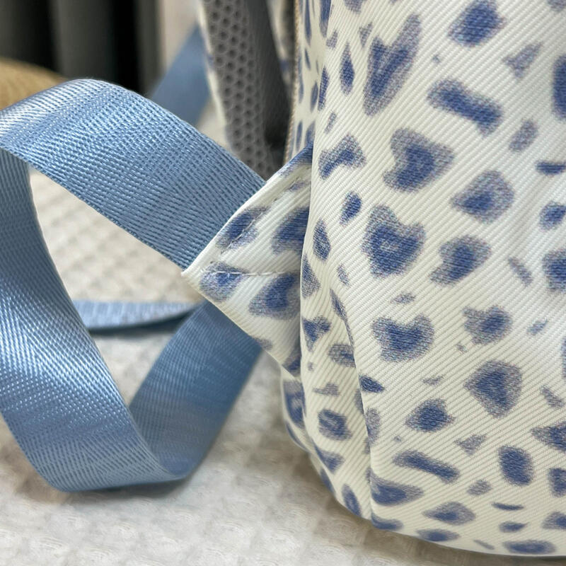 Campus Backpack Women's Backpack Lightweight Student Commuter Schoolbag