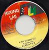 7inch Record FARGO VOICE / ZALLY - Can't Stop Me / Stop Talk NONE Mixing Lab 2000 Jamaica Reggae, Ska & Dub Used