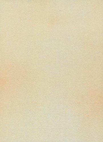 Kobaido Kana Paper, Asuka, Half-size, 100 Sheets (5 Designs, 20 Sheets Each)