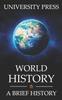 The World History Book : A Brief History of the World: From Big Bang To Big Tech Book